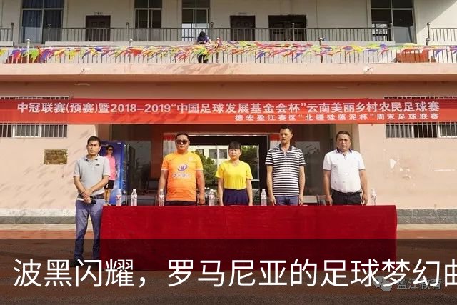 波黑闪耀，罗马尼亚的足球梦幻曲终章